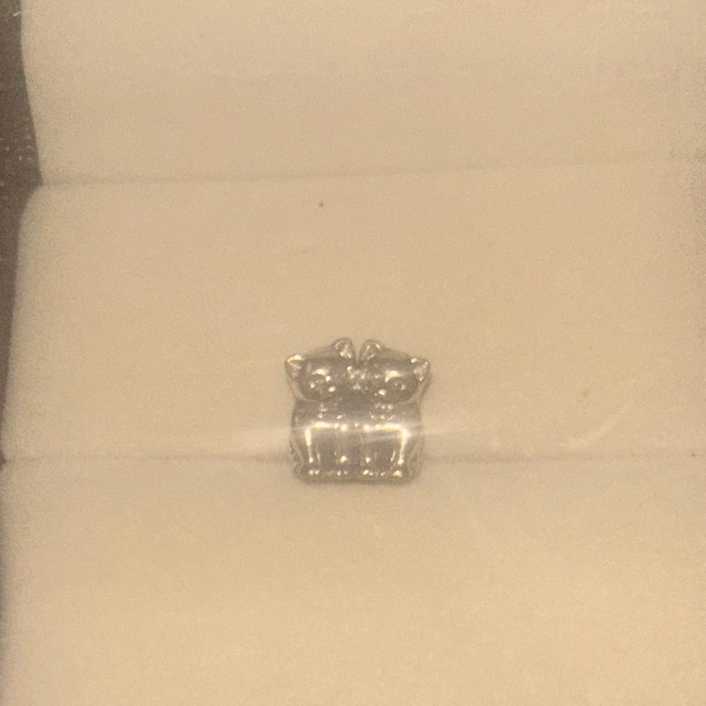 Elegant Silver Charm